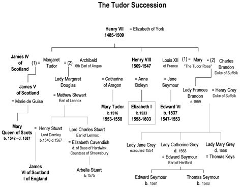 entico settimo tudor|house of tudor succession.